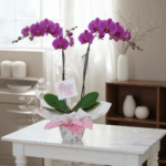 toma la imagen adjunta como base y genera l2xoqm2 1