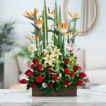 toma la imagen adjunta como base y genera qje1q536 1