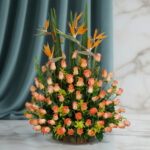 toma la imagen adjunta como base y genera wf6av0x 1