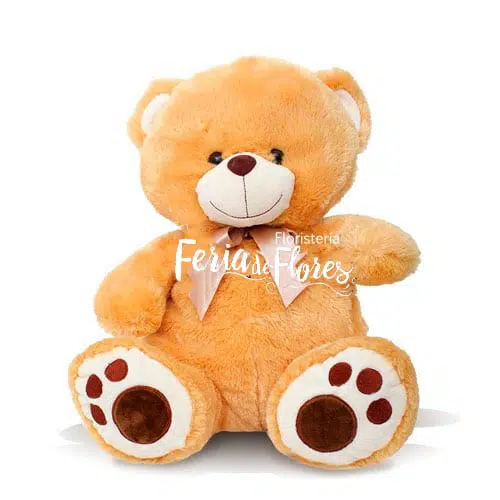 Honey Bear Plush