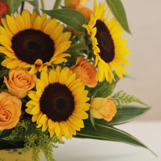 Primer plano extremo de un arreglo floral Giacomo con girasoles vibrantes, rosas naranjas frescas y gotas de rocío sutiles, d
