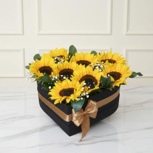 Arreglo floral con girasoles frescos y vibrantes en una elegante caja negra en forma de corazón, decorada con un lazo dorado,